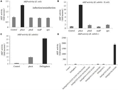 Optimization, Characteristics, and Functions of Alkaline Phosphatase From Escherichia coli